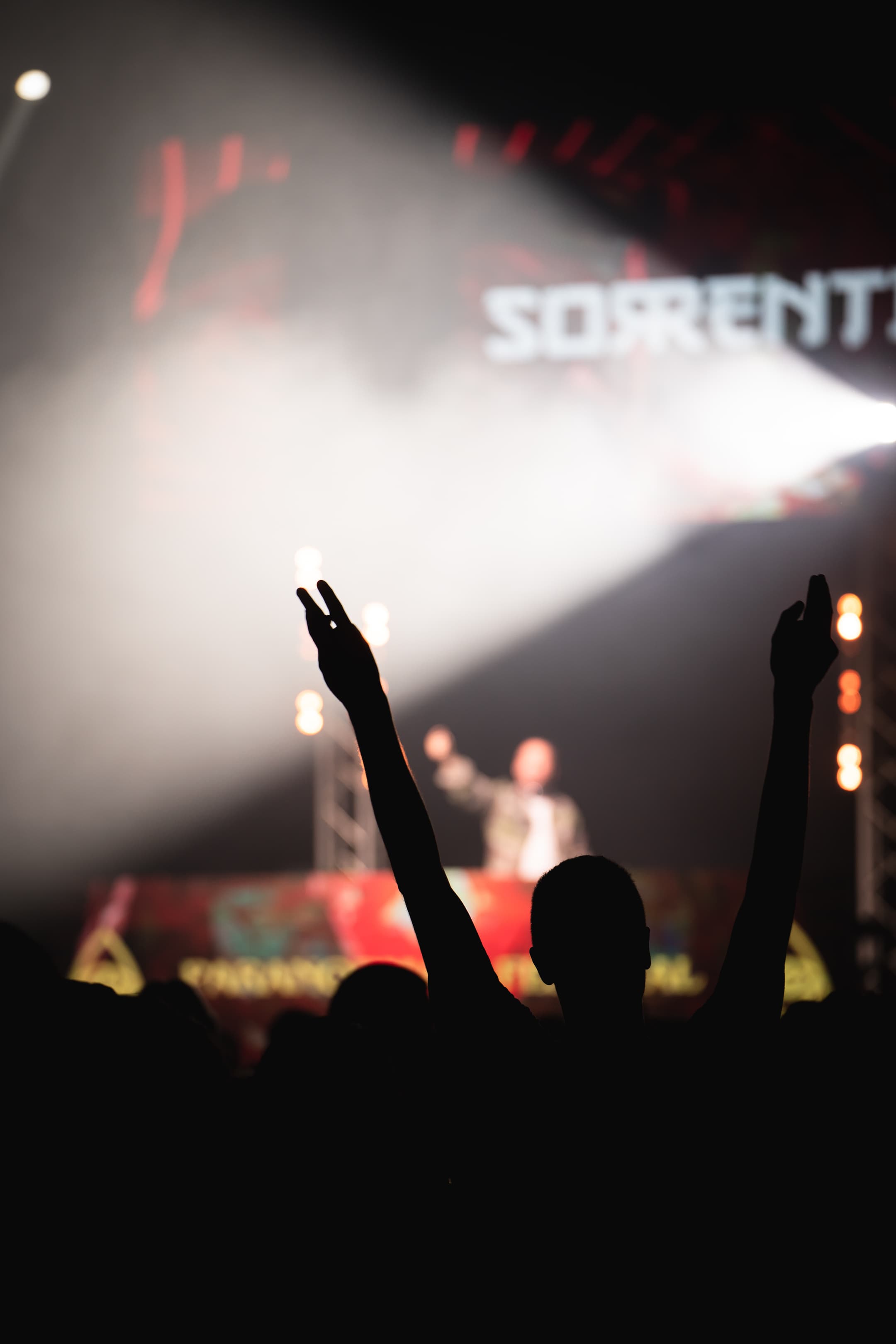 Paranormal Festival — photo 2